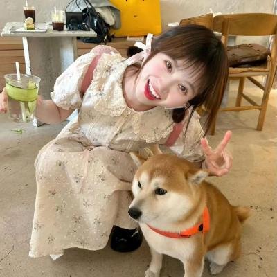 骆驼复仇记